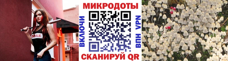 Галлюциногенные грибы Psilocybine cubensis  Яблоновский 